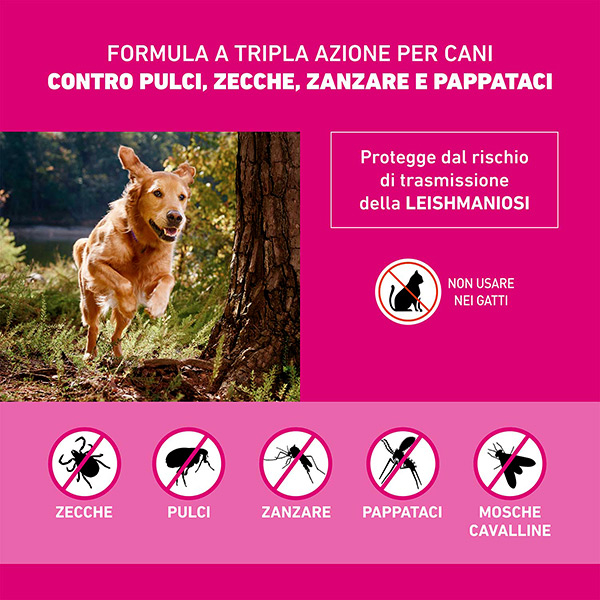Frontline Tri Act x1 Pipetta, Antiparassitario Per Cani e Cuccioli (Taglia XS 2-5Kg) Contro Pulci, Zecche, Zanzare, Pappataci e Leishmaniosi