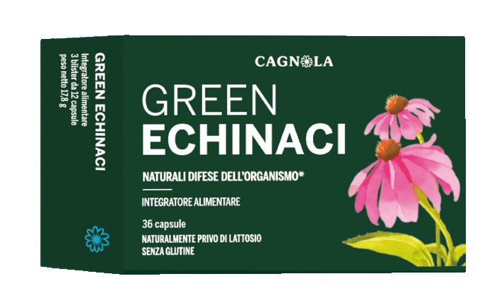 GREEN ECHINACI 36CPS