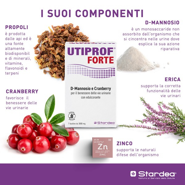 UTIPROF FORTE 7BUST