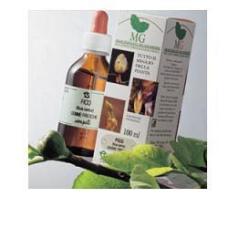 Rosmarino 100ml Mg