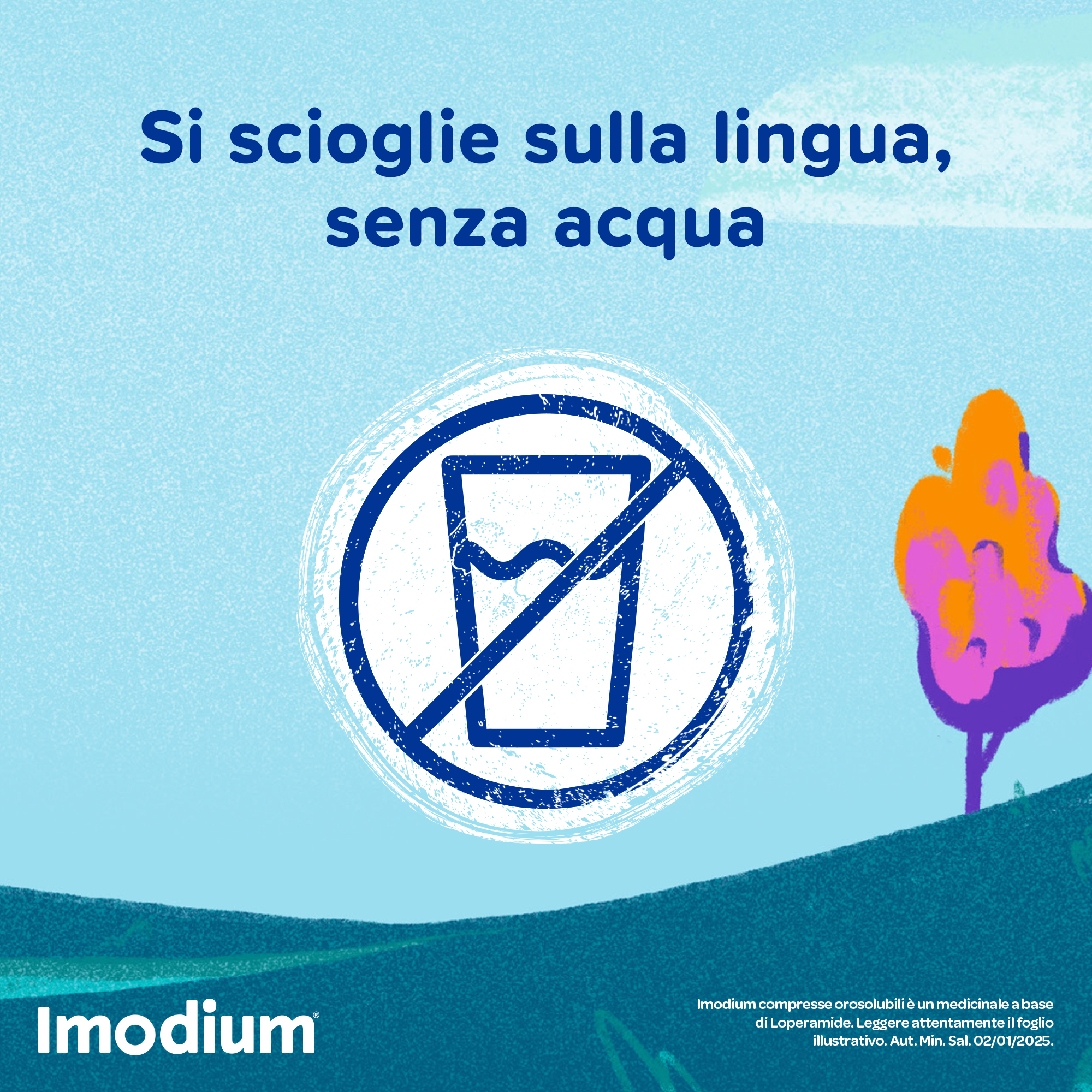 Imodium Diarrea Acuta 12 Compresse Orosolubili