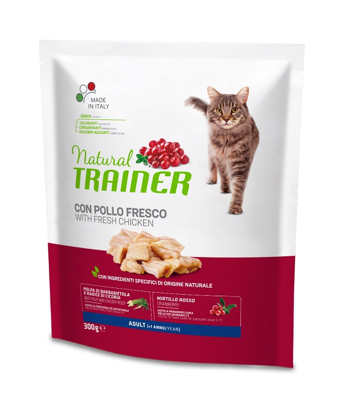 NT CAT AD CHICKEN 300G