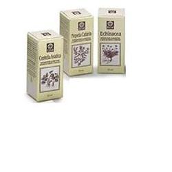 ECOL Echinacea difese dell'organismo Estratto analcolico 50ml