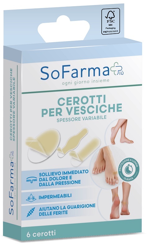 CEROTTO VESCICA ASS SF