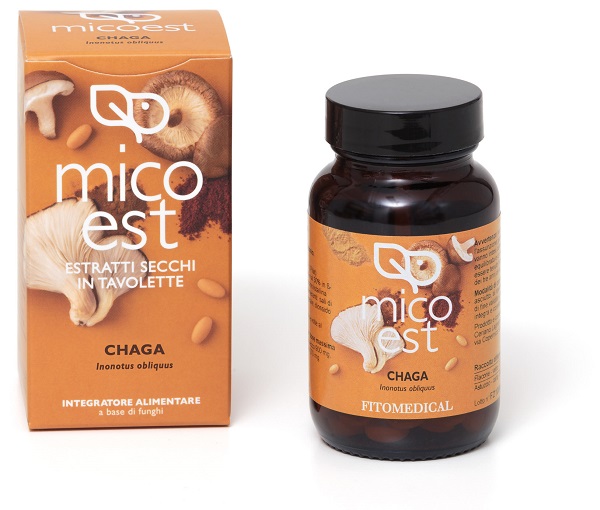 CHAGA ES 60TAV