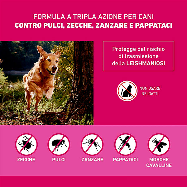 Frontline Tri Act x6 Pipette, Antiparassitario Per Cani e Cuccioli (Taglia XL 40-60Kg) Contro Pulci, Zecche, Zanzare, Pappataci e Leishmaniosi