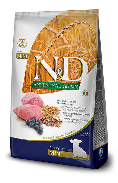 N&D LG DOG LAM&BLU PU MINI800G