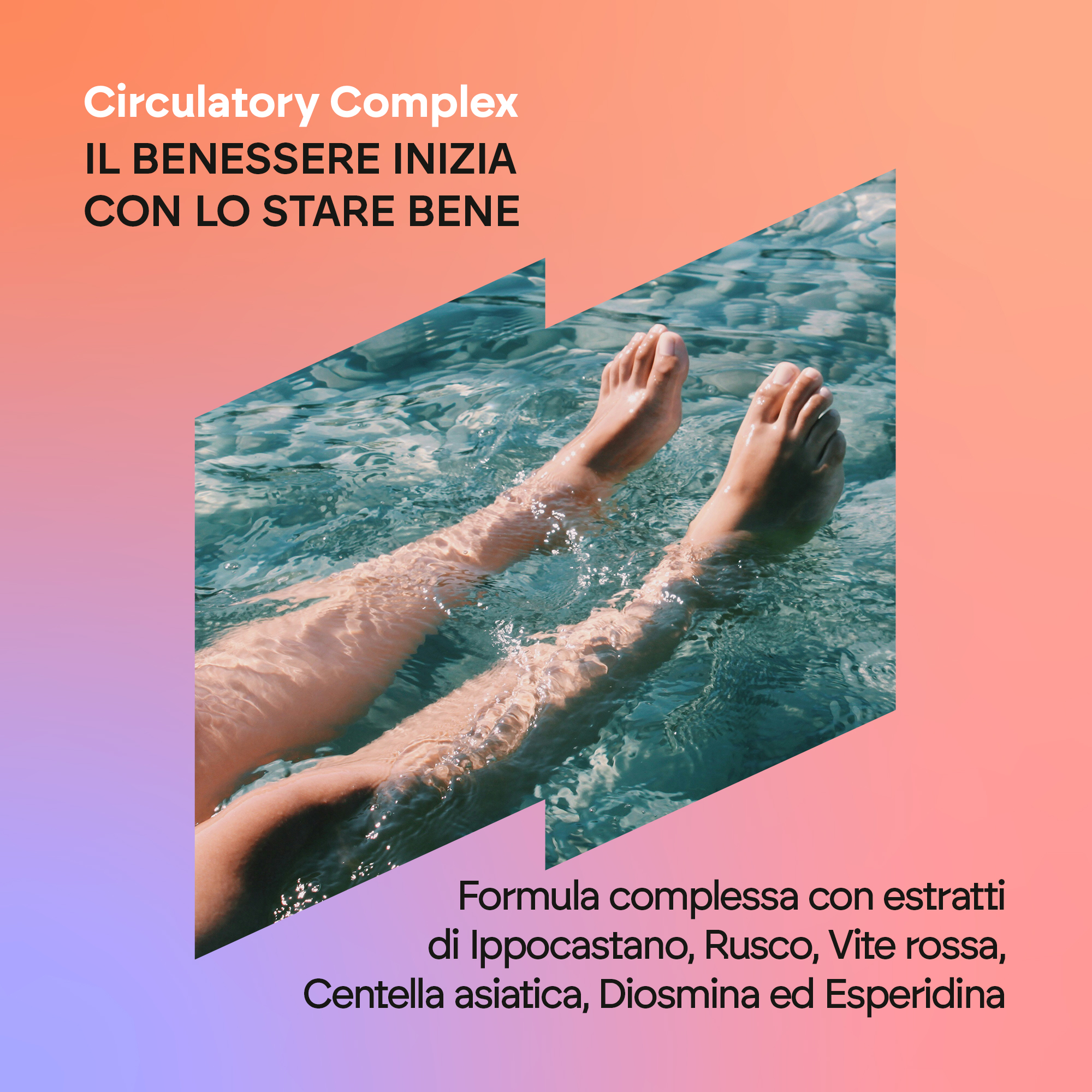 Nutralie Circulatory Complex - Integratore Per Il Microcircolo 60 Capsule