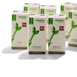 VITE VINIFERA MG 100ML