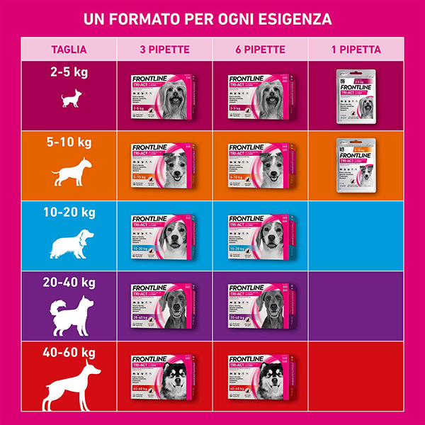 Frontline Tri Act x1 Pipetta, Antiparassitario Per Cani e Cuccioli (Taglia S 5-10Kg) Contro Pulci, Zecche, Zanzare, Pappataci e Leishmaniosi