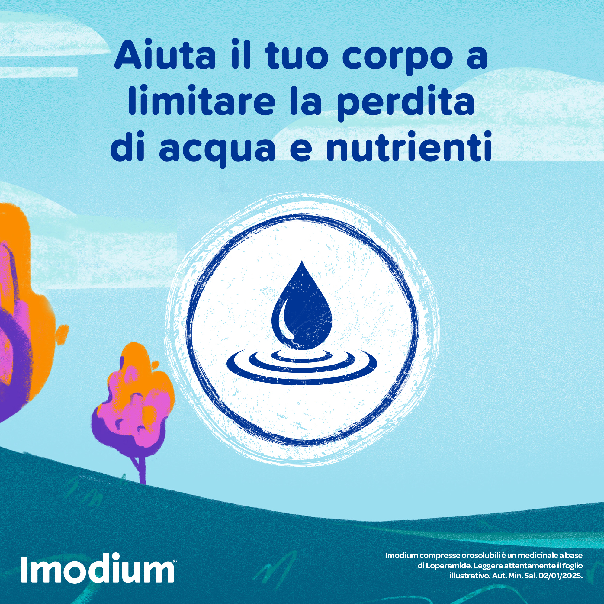 Imodium Diarrea Acuta 12 Compresse Orosolubili