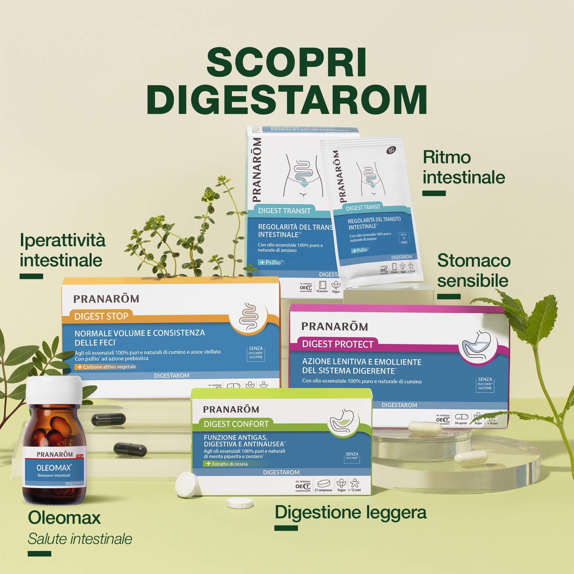 PRANAROM DIGEST CONFORT 21CPR