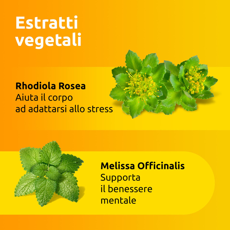 Supradyn Ricarica No Stress Integratore Multivitaminico con Magnesio ed Estratti Vegetali di Rhodiola e Melissa per combattere la Stanchezza Fisica e Mentale, Gusto Limone, 20 Bustine