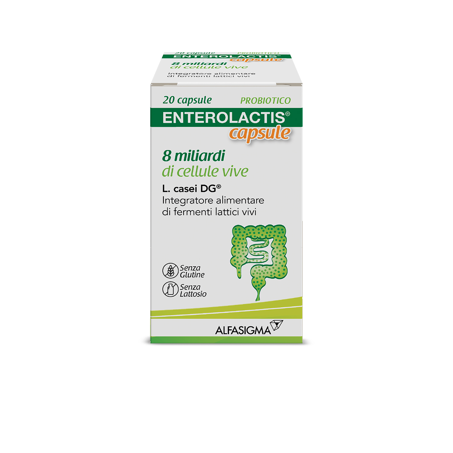 Enterolactis Capsule, Integratore Alimentare con Fermenti lattici, probiotici L,Casei DG, 8 Miliardi Cellule Vive, Senza Glutine e Lattosio, 20 Capsule
