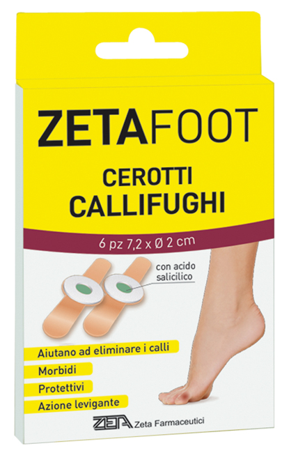 ZF Cer.Callif.Disco Cent.6pz