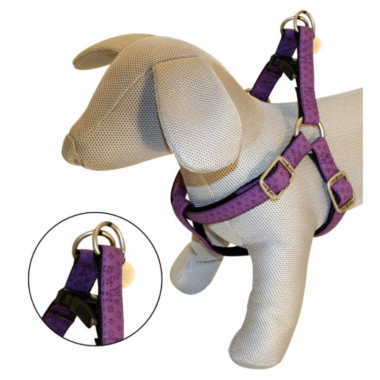 CROCI PETTORINA MYLORD SIMILPELLE REGOLABILE VIOLA 10MMx25/40CM (REF. C5080083)