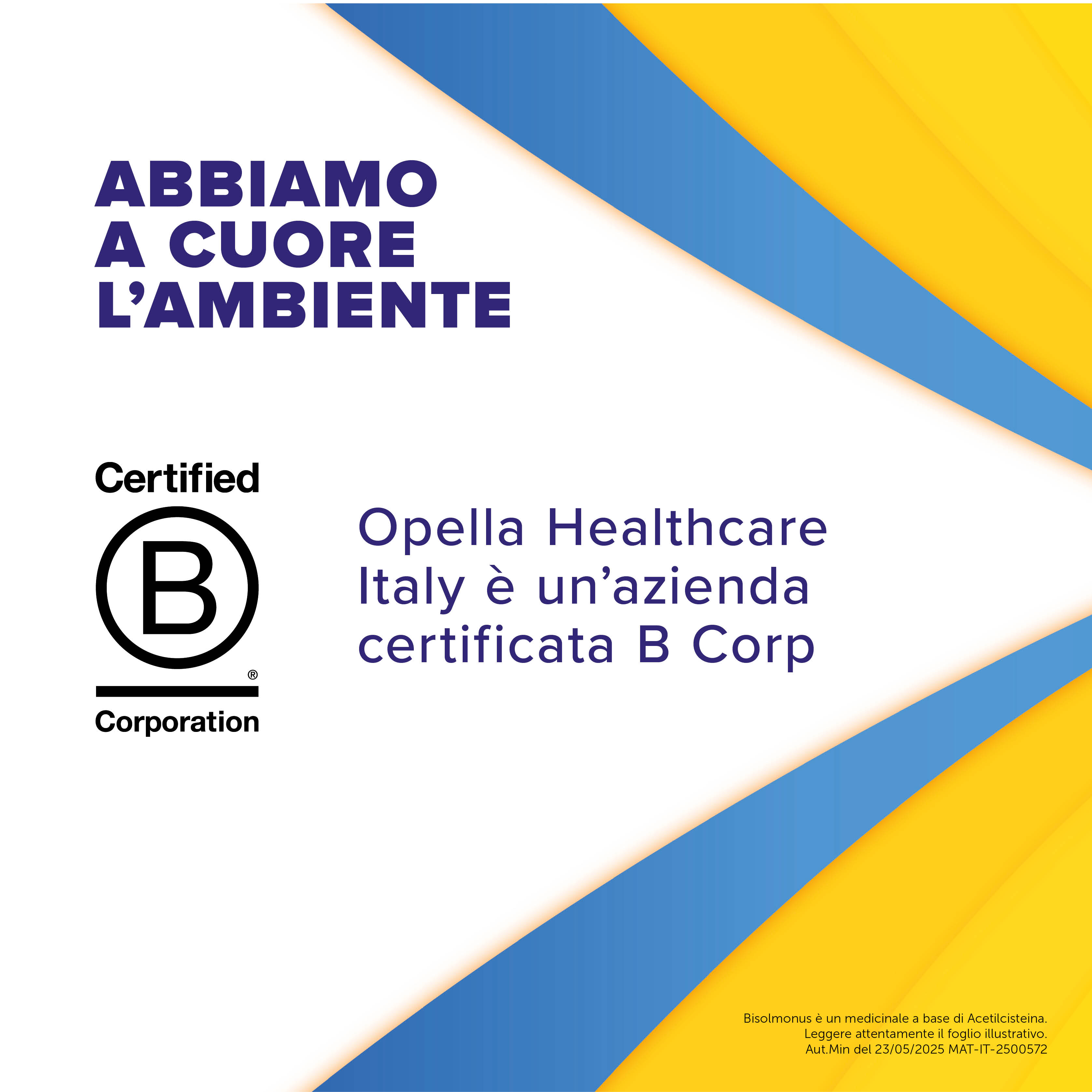 Bisolmonus 600 mg Mucolitico - 10 Compresse Effervescenti Per Catarro E Tosse Grassa