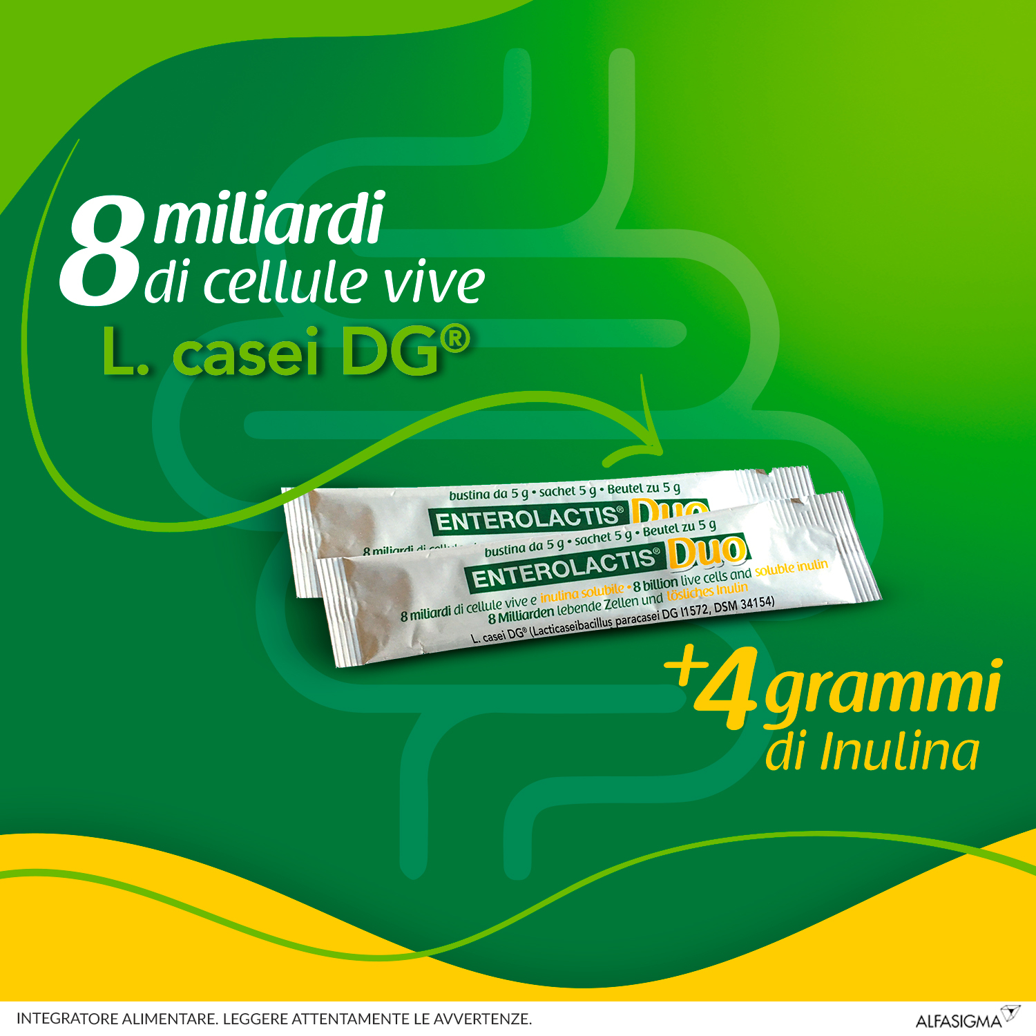 Enterolactis Duo, Integratore Alimentare con Fermenti lattici, probiotici L,Casei DG, 8 Miliardi Cellule Vive, Con Fruttosio, Senza Glutine e Lattosio, 20 Bustine