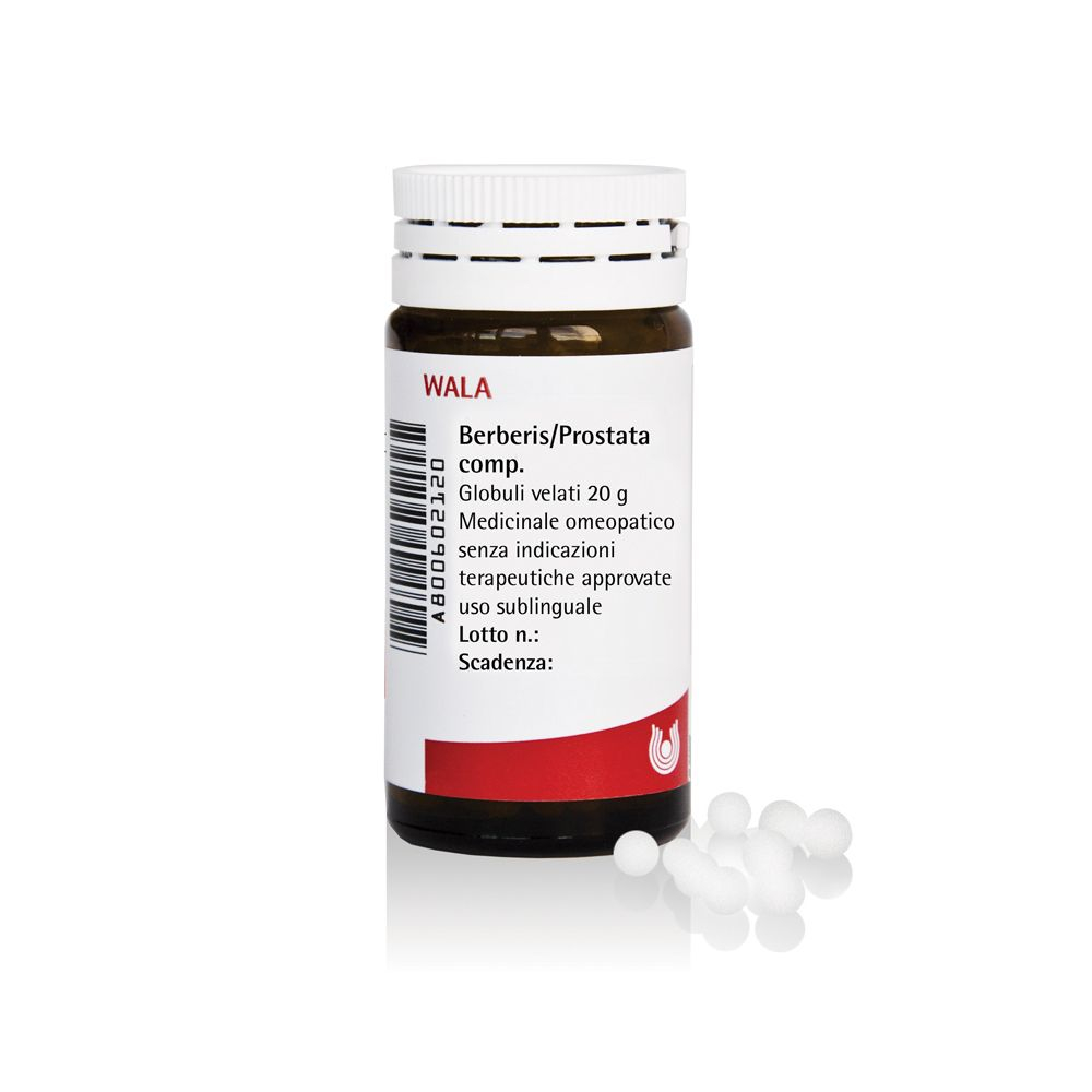 Wala Berberis Prostata Compositum Medicinale Omeopatico Globuli 20 g