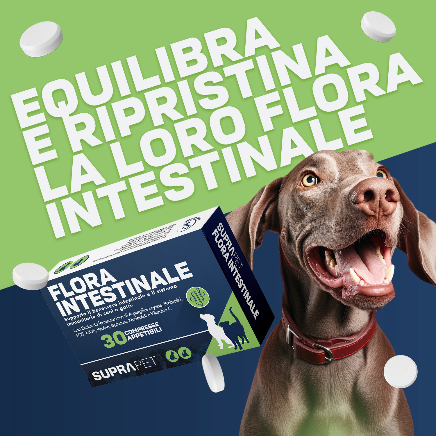 Suprapet flora intestinal 30 compresse