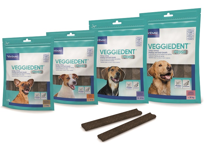 VEGGIEDENT FR3SH L 15 Stick
