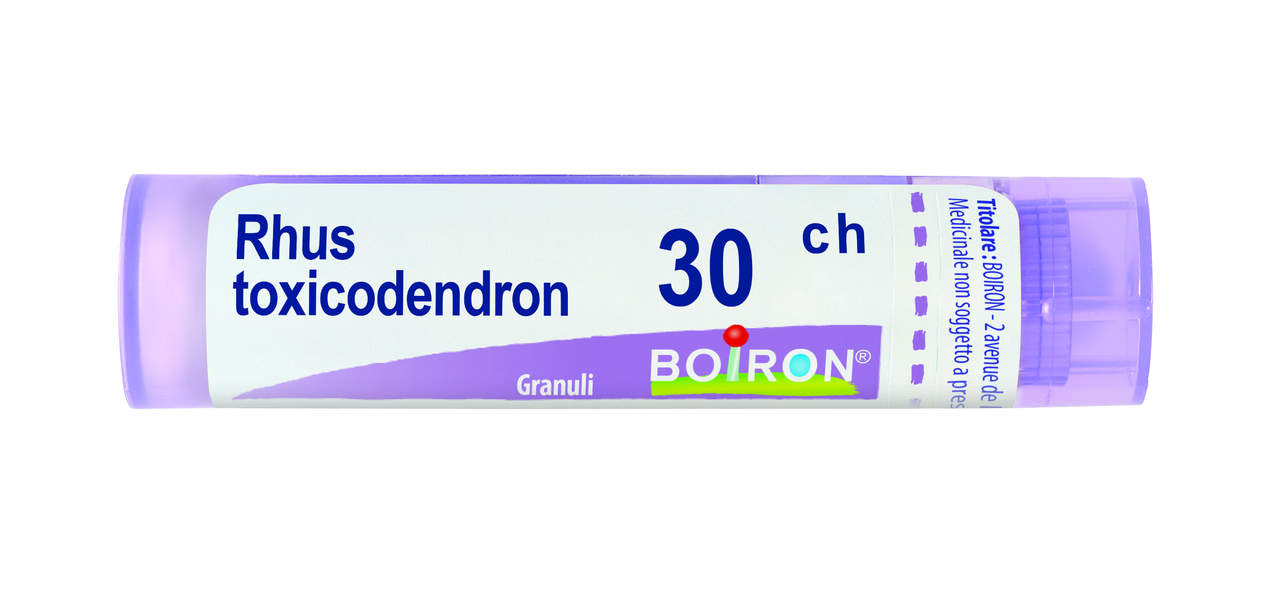 RHUS TOXICODENDRON*30CH 80GR4G