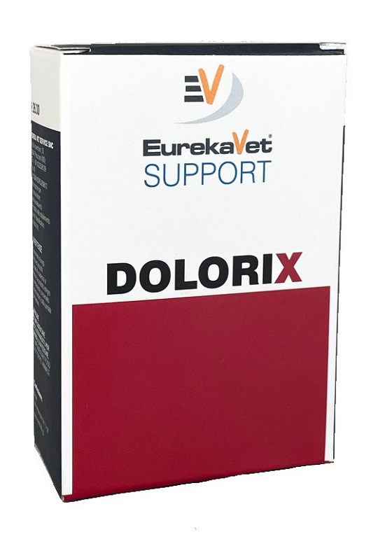 DOLORIX 24Cpr