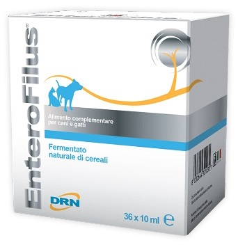 ENTEROFILUS FIALE 36 X 10 ML