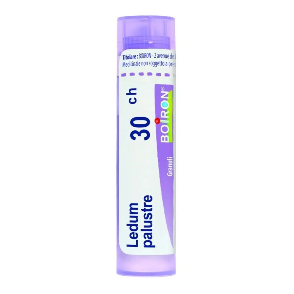 LEDUM PALUSTRE BOI*30CH 80GR4G