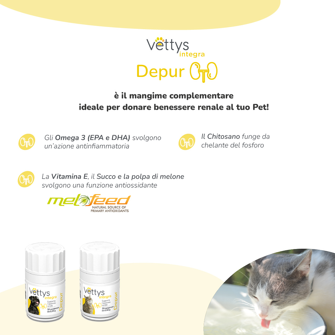 VETTYS INTEGRA DEPUR GATTO