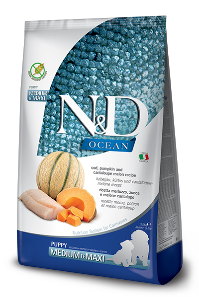 N&D OCE DOG M/Z/C PU M/MX2,5KG
