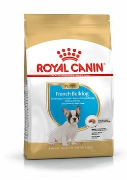 BHN FRENCH BULLDOG PUPPY 1KG