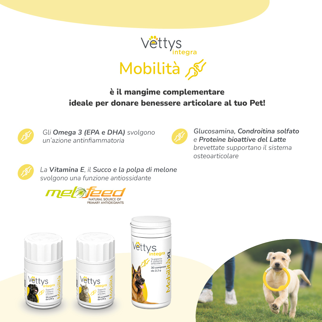 VETTYS Integra Mobilita'Gatto