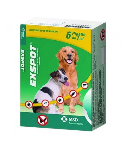 EXSPOT 6 PIP 2ML