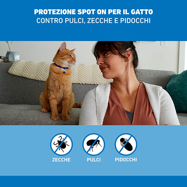 Frontline Spot On Gatti x4 Pipette, Antiparassitario per Gatti e Gattini, Contro  Zecche, Pulci e Pidocchi