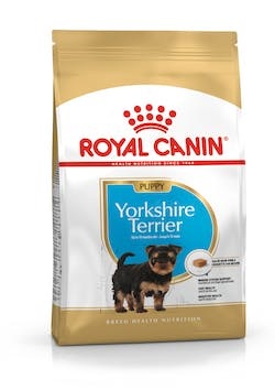 BHN YORKSHIRE TERRIER PUP1,5KG