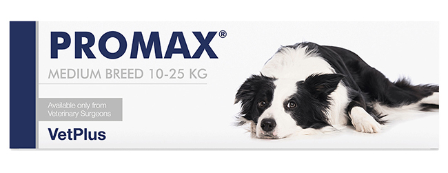 PROMAX BREED Medium 18ml