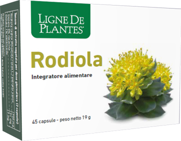 RODIOLA 45 Cps NSE