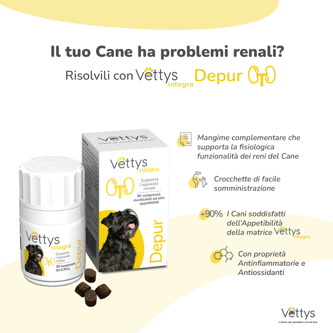 VETTYS Integra Depur Cane
