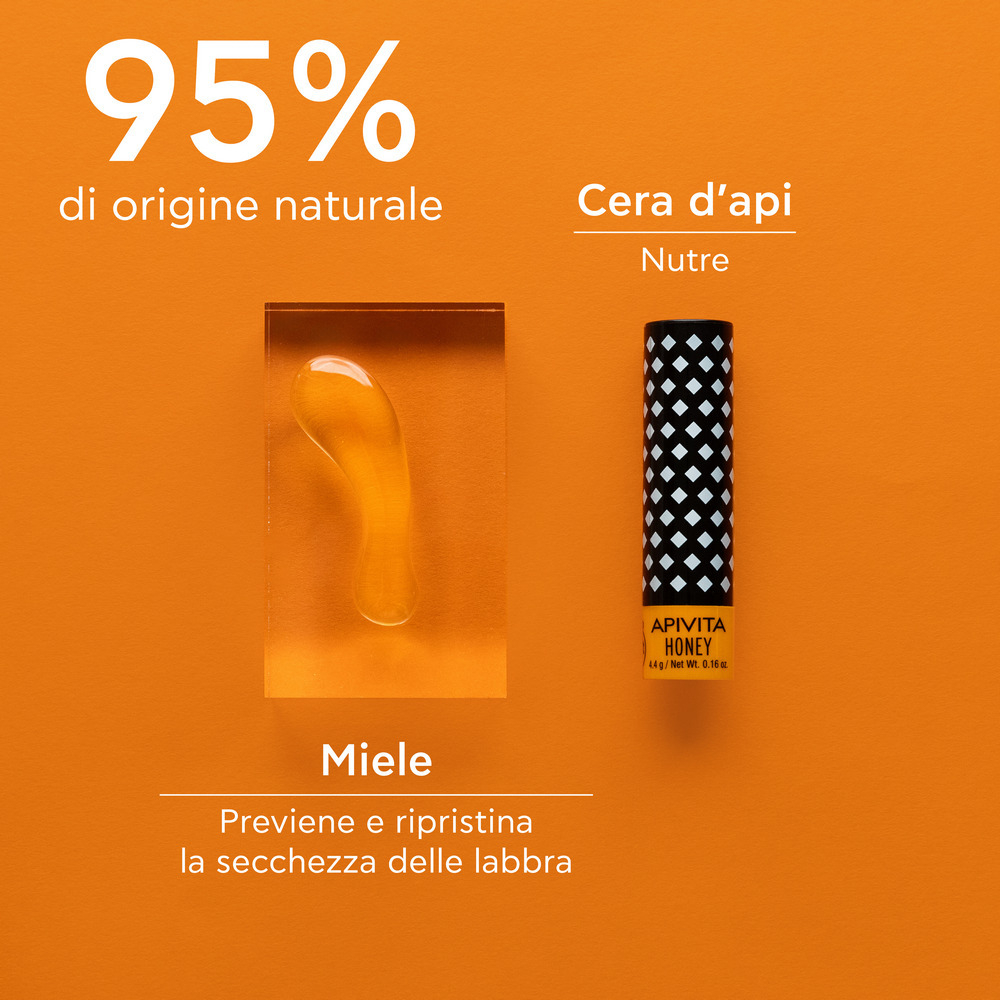 APIVITA LIPCARE HONEY/03