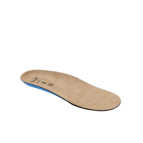 CLOG EVO ANAT ANT INS MIC36-37