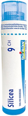Boiron Silicea 9CH Granuli Tubo