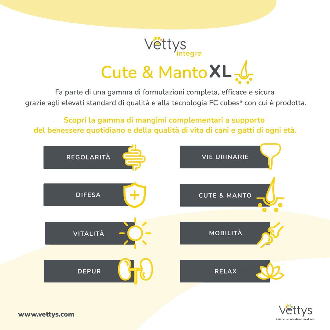 VETTYS Integra Cute&Manto XL