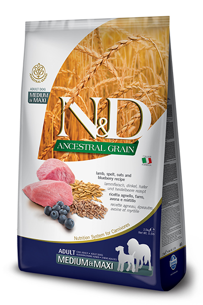 N&D ANCESTRAL LAMB&BL AD ME/MA