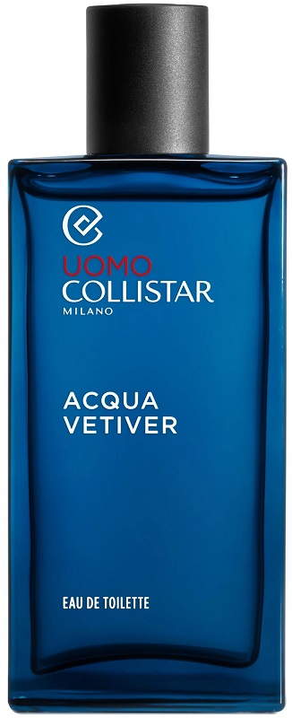VETIVER FORTE UOMO EDT 100ML