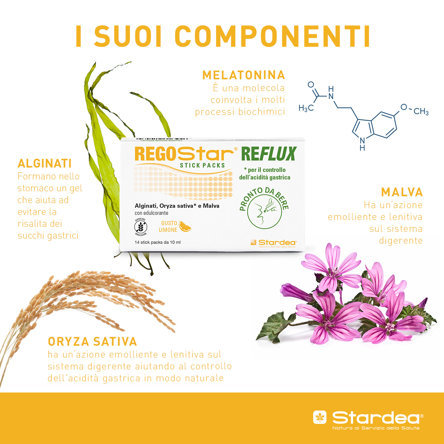 REGOSTAR Reflux 14 Stick Pack
