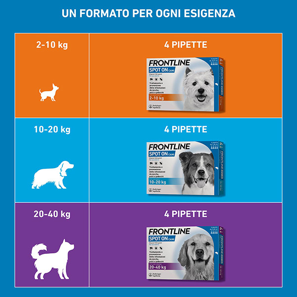 Frontline Spot On Cani x4 Pipette, Antiparassitario per Cani e Cuccioli (10-20Kg), Contro Pulci, Zecche E Pidocchi 