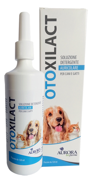 OTOXILACT DETERGENTE AURICOLA