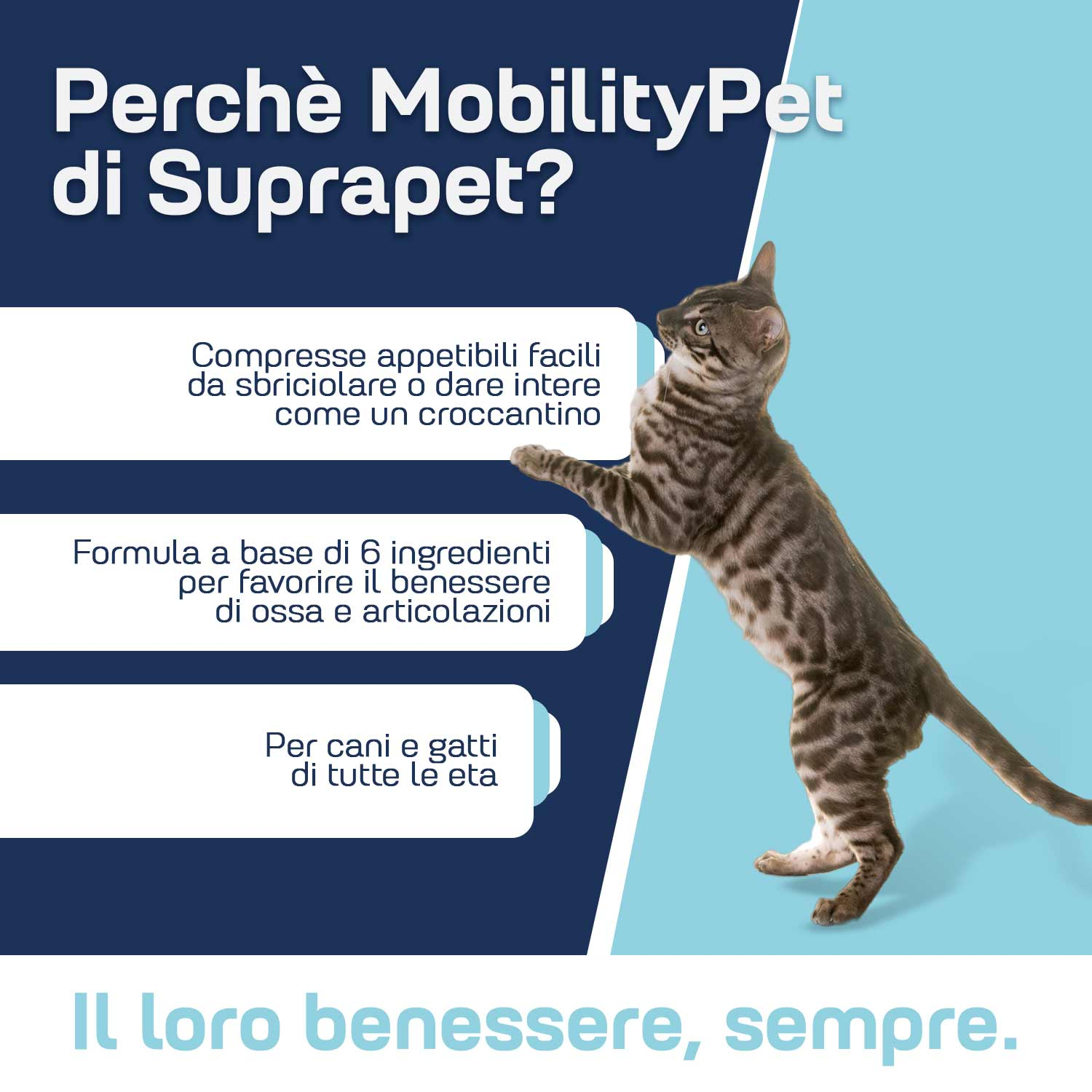 Suprapet mobilitypet 90 compresse