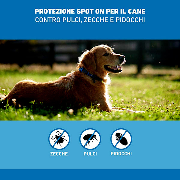 Frontline Spot On Cani x3 Pipette, Antiparassitario per Cani e Cuccioli (20-40Kg), Contro Pulci, Zecche E Pidocchi